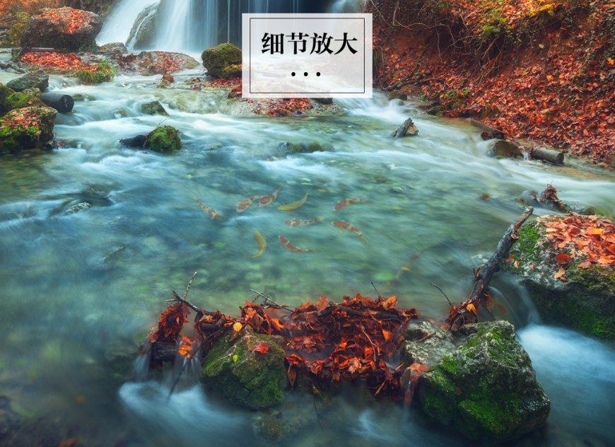 金沙9570(集团)股份有限公司